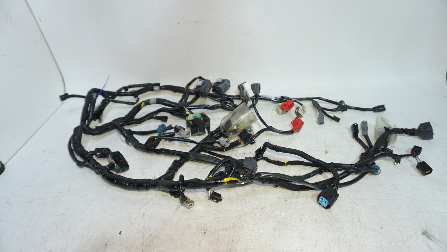 2017 -2023 Kawasaki ER650 ER 650 Z650 Z 650 Master Wire Harness 160120 OEM