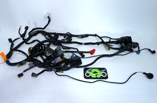 2021 KAWASAKI NINJA 400 EX400 Non ABS WIRING WIRE HARNESS 26031-2666C 254078 OEM