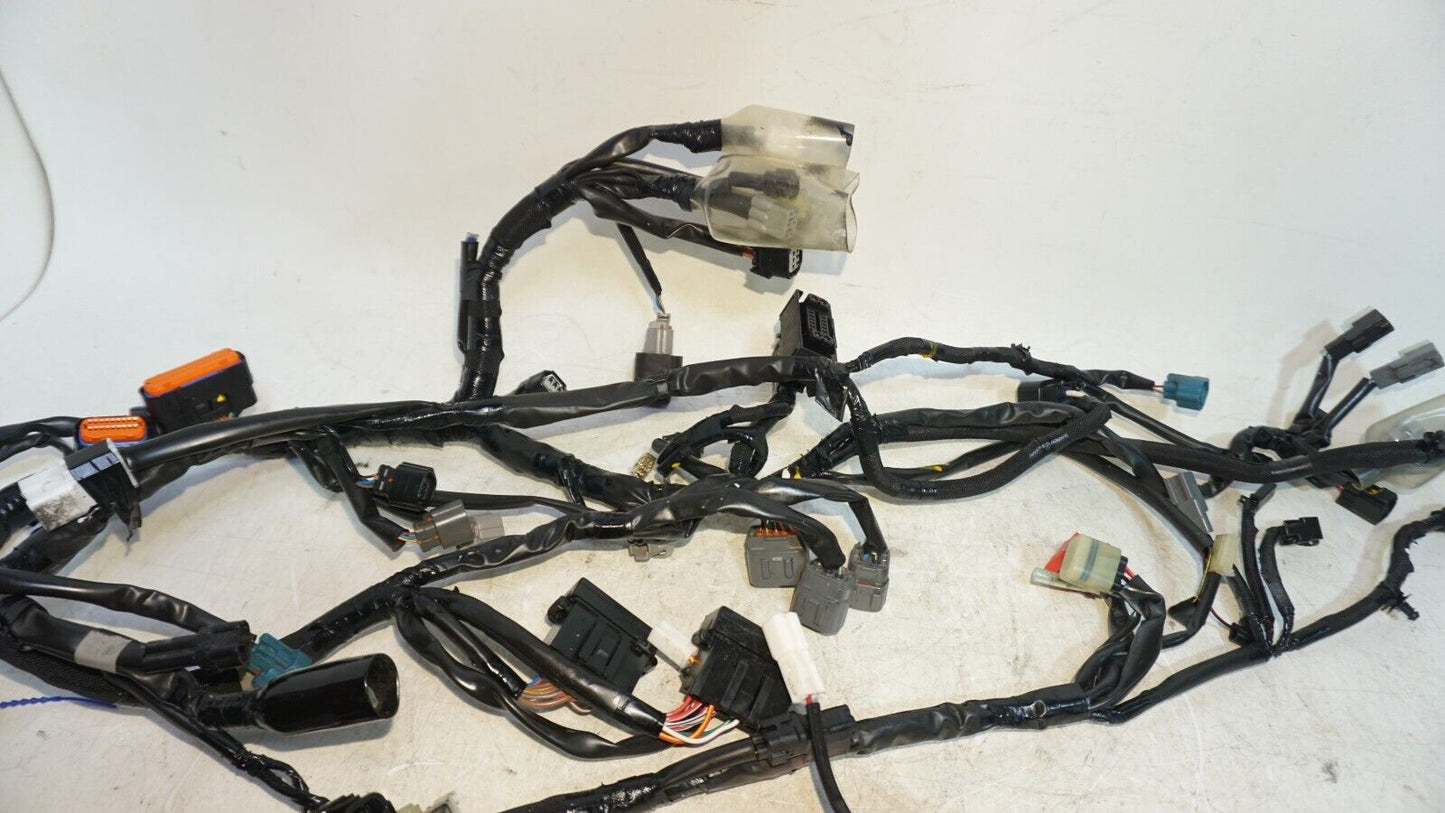 2017 -2023 Kawasaki ER650 ER 650 Z650 Z 650 Master Wire Harness 160120 OEM