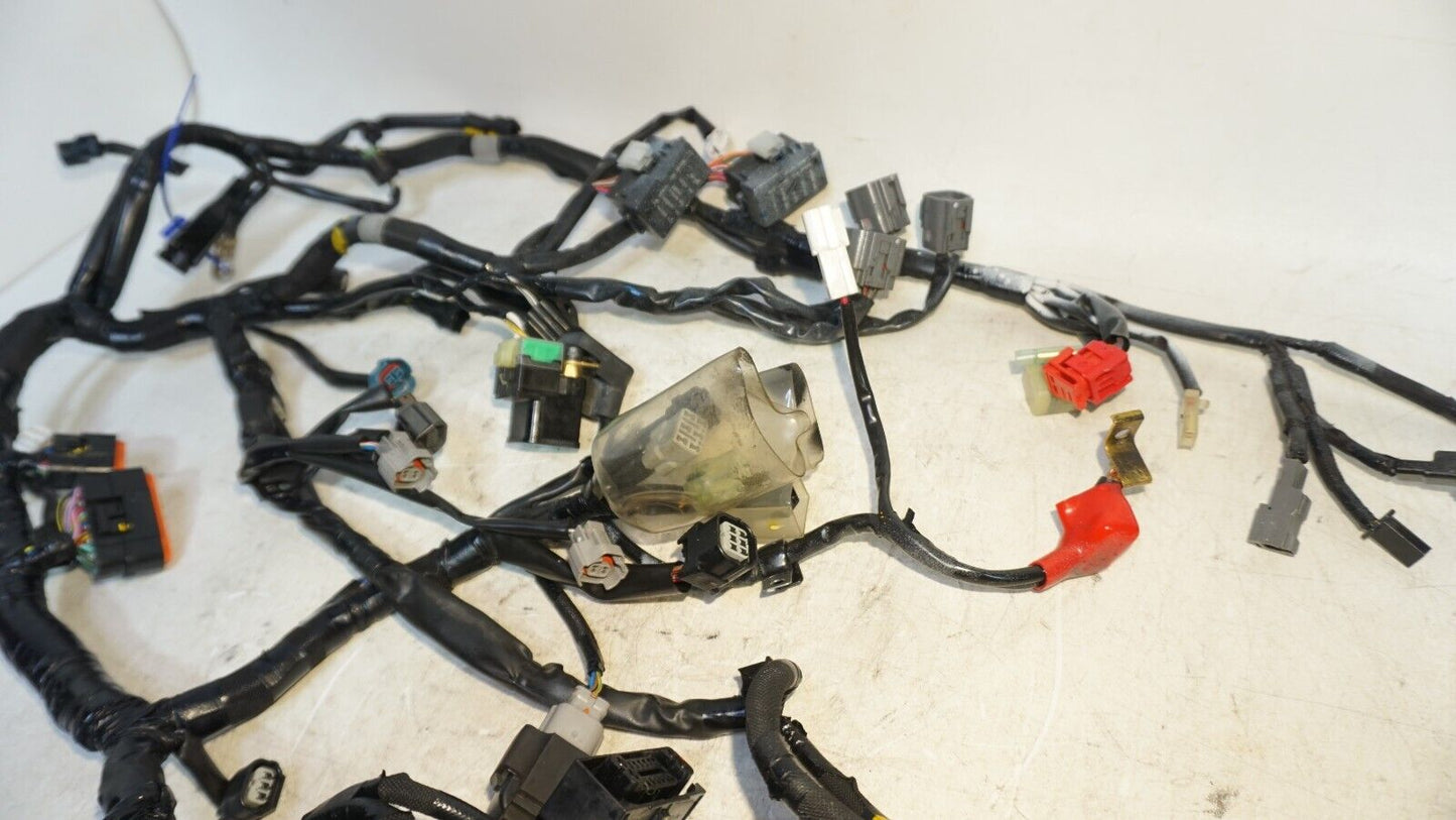 2017 -2023 Kawasaki ER650 ER 650 Z650 Z 650 Master Wire Harness 160120 OEM