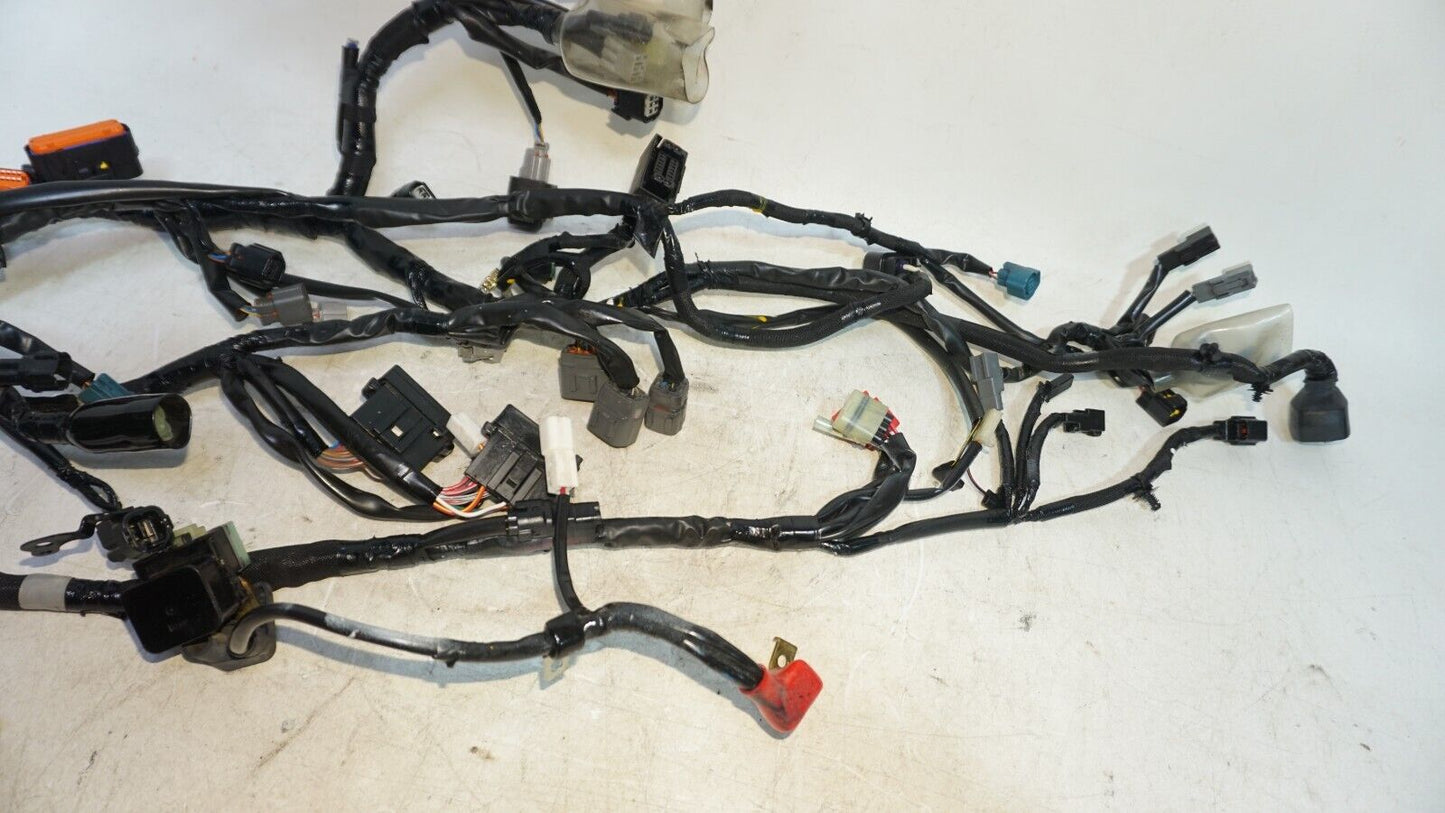 2017 -2023 Kawasaki ER650 ER 650 Z650 Z 650 Master Wire Harness 160120 OEM