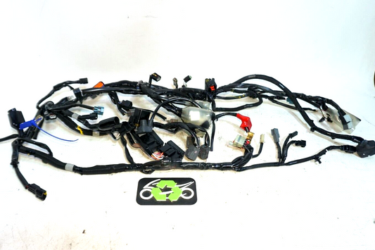 2017 -2023 Kawasaki ER650 ER 650 Z650 Z 650 Master Wire Harness 160120 OEM