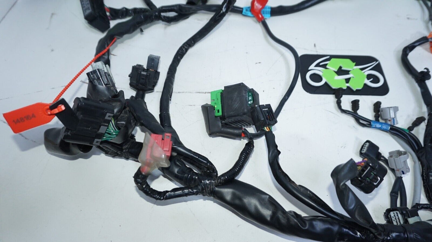 2019 Honda CBR500r Cbr 500r Main Engine Wiring Harness Motor Wire 148164 Oem