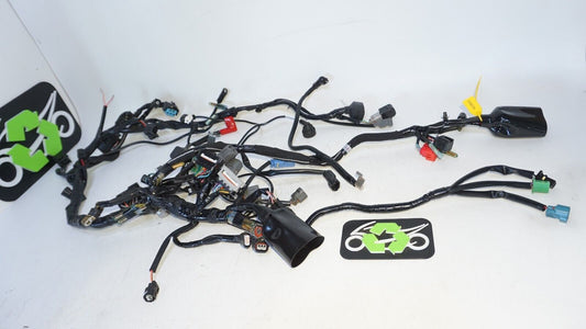 2023 KAWASAKI NINJA 400 EX400 ABS MAIN ENGINE WIRING HARNESS MOTOR 239579 OEM