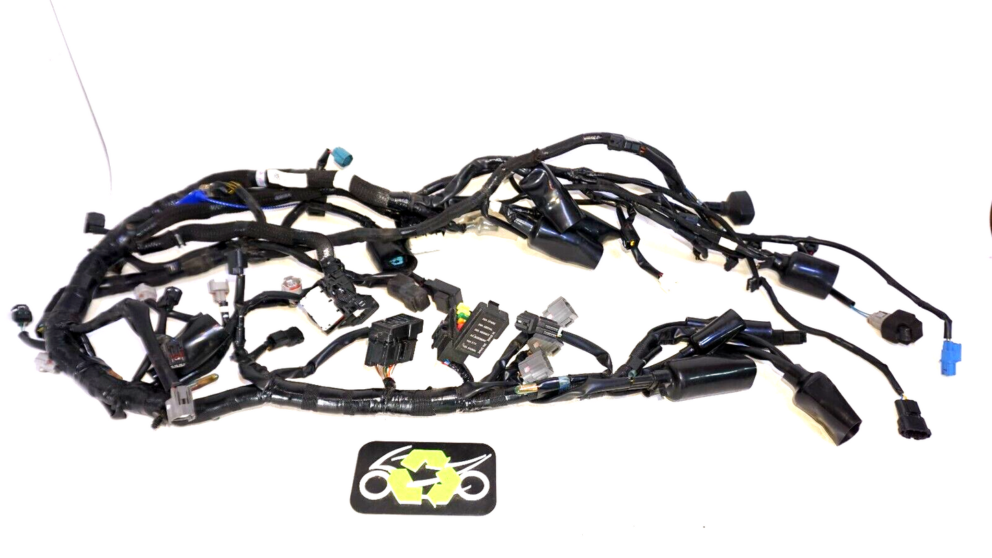 2023 Kawasaki Ninja ZX4RR Main Engine Harness 21175-1875 Wiring Wire 160563 OEM