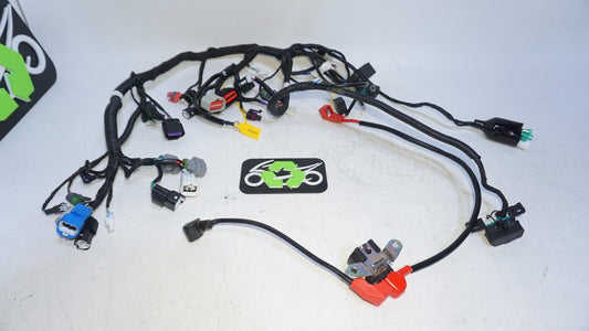 2023 2022 CF MOTO PAPIO WIRING HARNESS MAIN HARNESS - 12 miles 239141 OEM