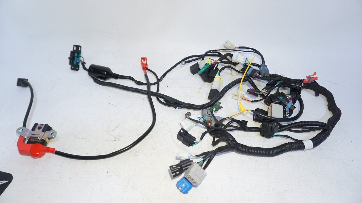 2023 2022 CF MOTO PAPIO WIRING HARNESS MAIN HARNESS - 12 miles 239141 OEM