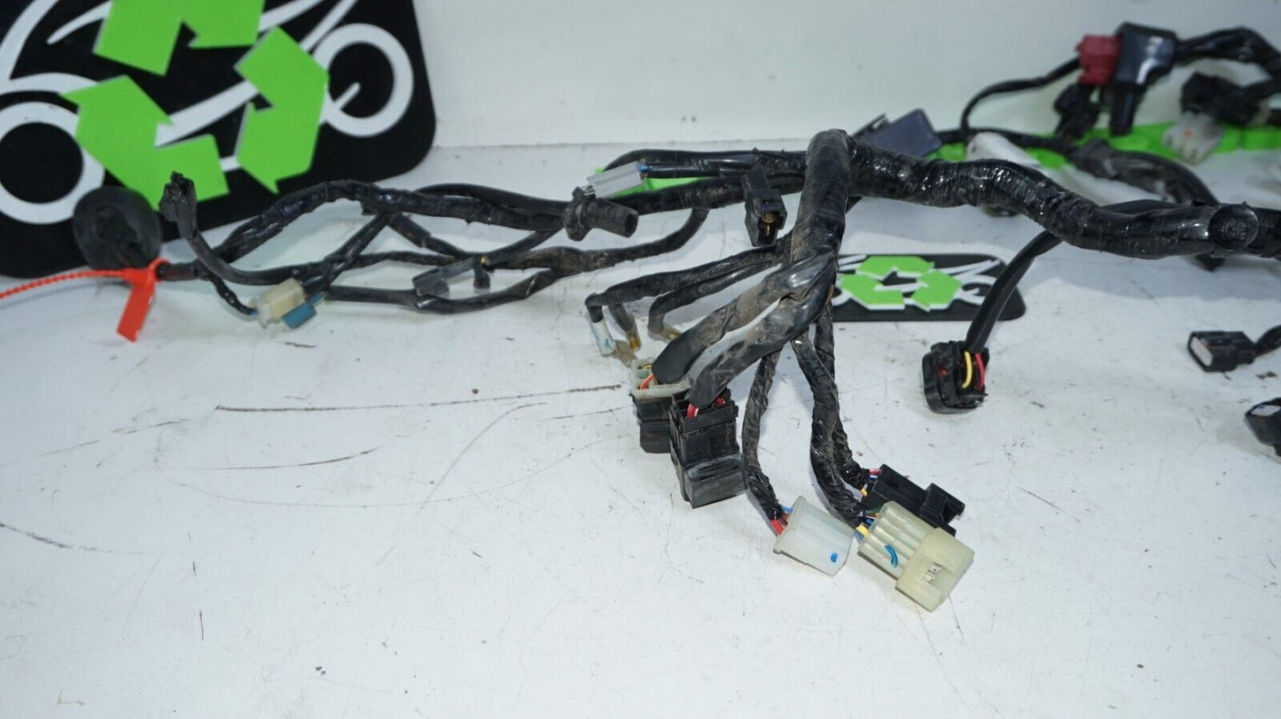 15-18 Yamaha YZF R3 Main Engine Wiring Harness