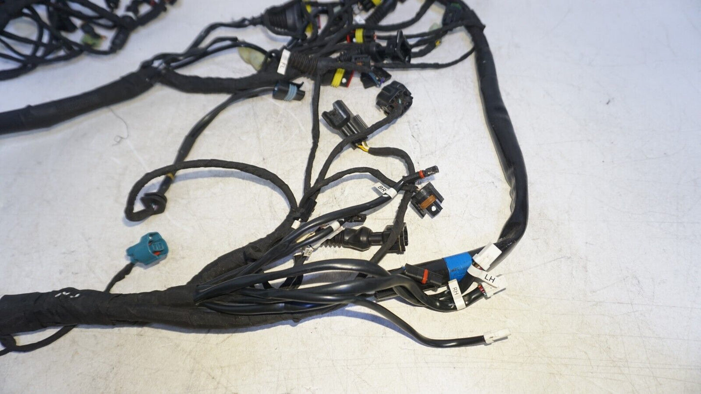 2019 Ducati Scrambler Desert Sled Main Wiring Harness 5101E241C 160818 OEM