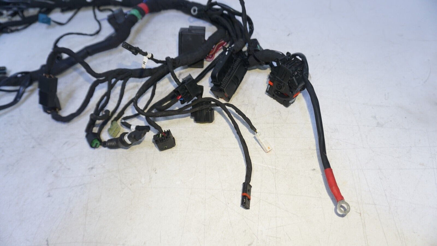 2019 Ducati Scrambler Desert Sled Main Wiring Harness 5101E241C 160818 OEM