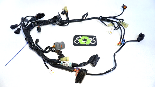 2017 KTM 1290 SUPER DUKE GT 2016-2018 WIRING HARNESS ENGINE 61411085 #160661 OEM