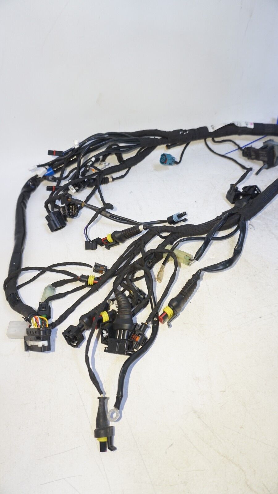 2019 Ducati Scrambler Desert Sled Main Wiring Harness 5101E241C 160818 OEM