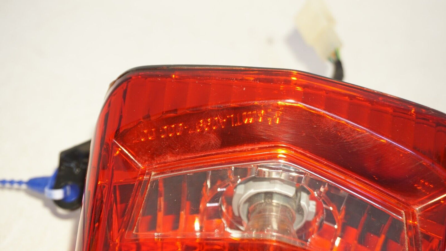 2022 23 Honda Navi NVA110 Taillight Tail Brake Light Lamp Lens GENUINE OEM