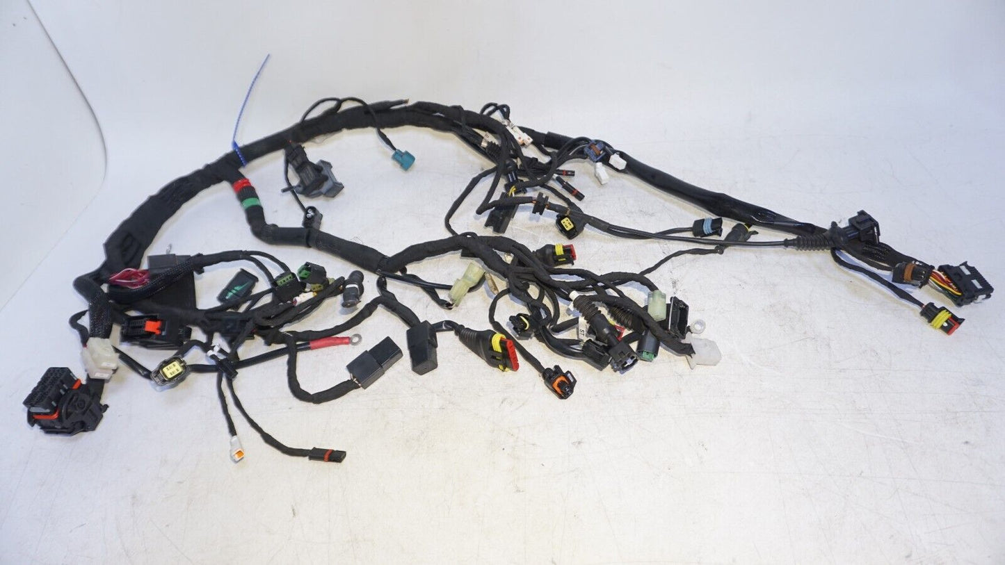 2019 Ducati Scrambler Desert Sled Main Wiring Harness 5101E241C 160818 OEM