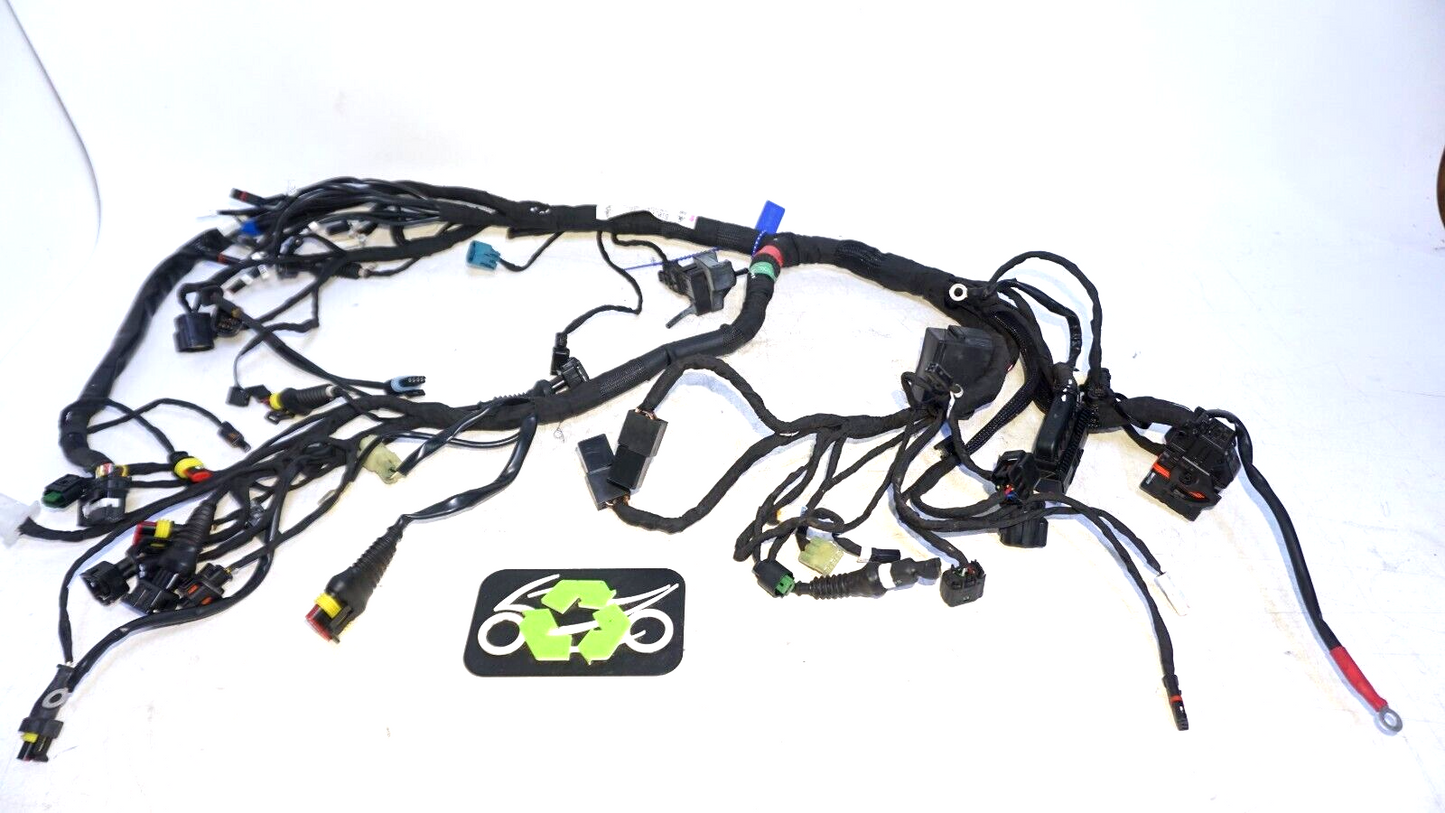 2019 Ducati Scrambler Desert Sled Main Wiring Harness 5101E241C 160818 OEM