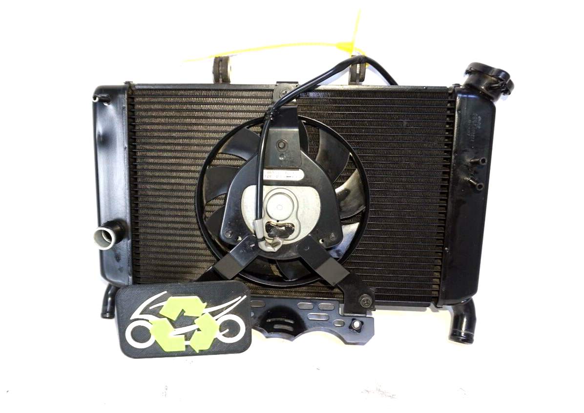 GENUINE YAMAHA 2009 - 2017 FZ6R XJ6 Radiator + Cooling Fan NO LEAKS 239281 OEM