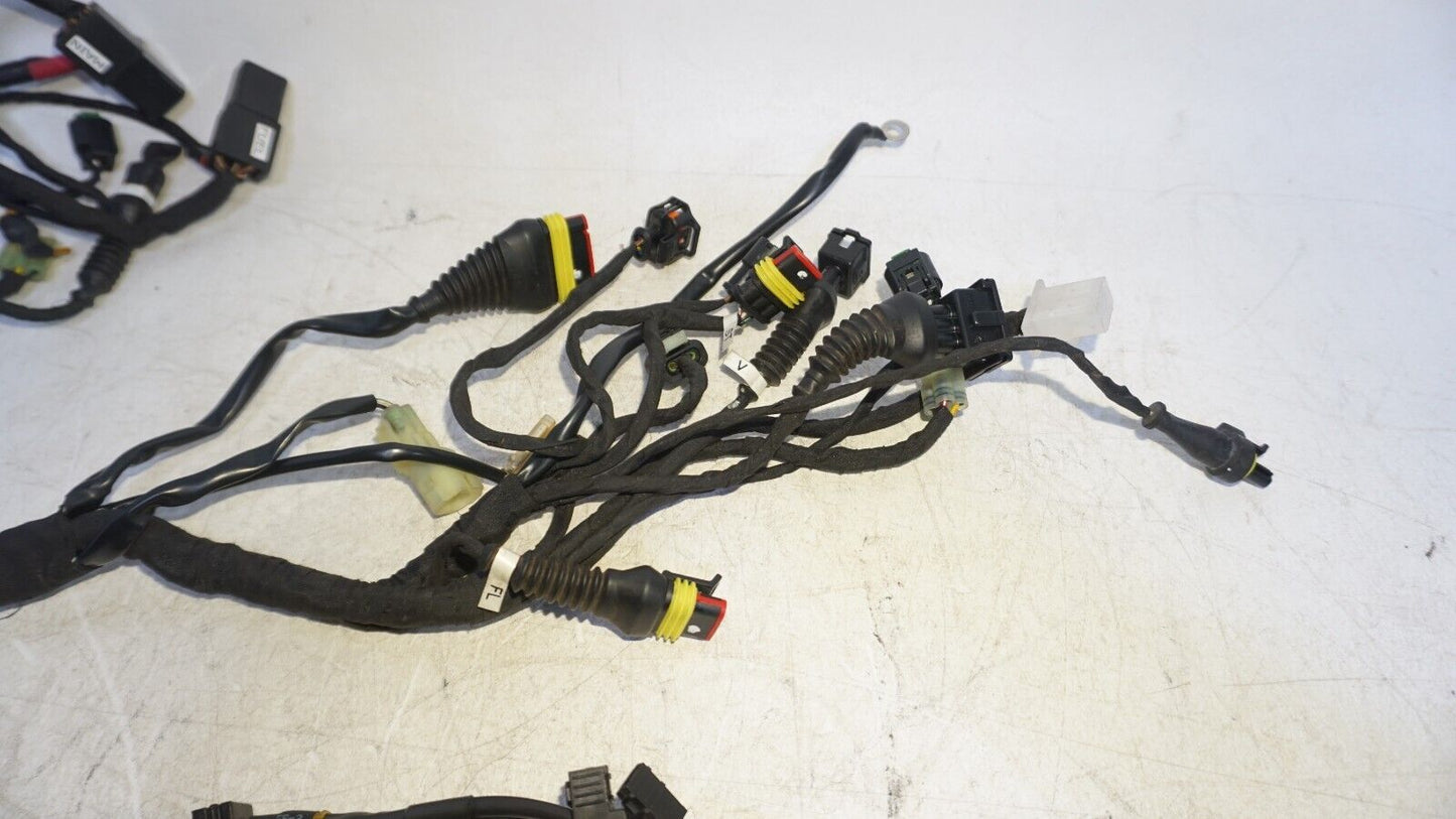 2019 Ducati Scrambler Desert Sled Main Wiring Harness 5101E241C 160818 OEM