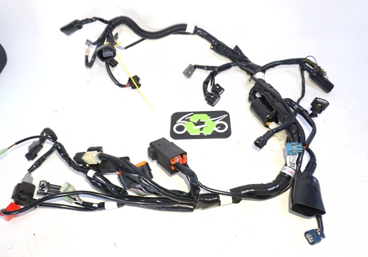 Z125 Pro 125 Kawasaki 2023 MAIN Wiring harness OEM 869 Miles 239835 OEM