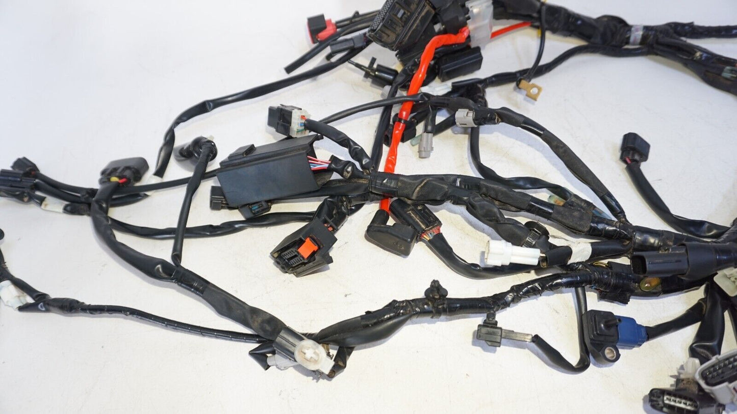 2022 23 Yamaha YZF R7 Main Engine Wiring Harness 239374 OEM - FAST FREE SHIPPING